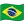 PT-BR